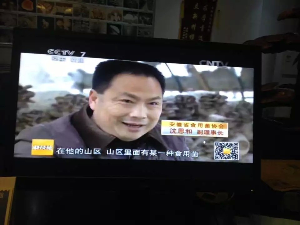 合肥立新菌种场培训学校沈思和校长接受中央电视台 科技苑 栏目采访，