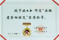 安徽合肥立新食用菌种场培训学校校长沈思和被誉为安徽省劳动模范称号
