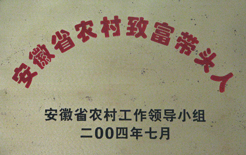 安徽省农村致富带头人