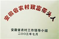 合肥市农村致富带头人称号(2003)