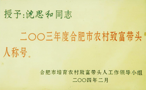 合肥市农村致富带头人称号(2004)