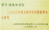 合肥市农村致富带头人称号(2004)