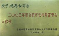 合肥市农村致富带头人称号