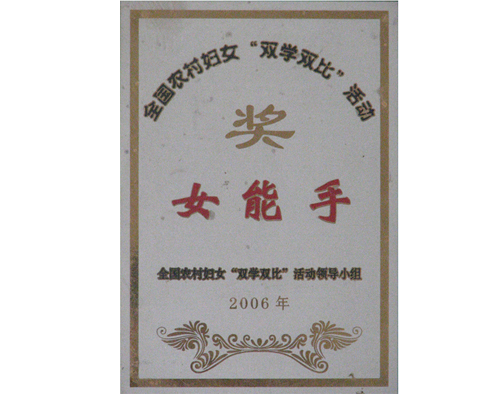 全国农村妇女“双学双比”女能手