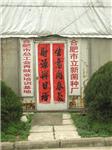 立新食用菌种场培训学校