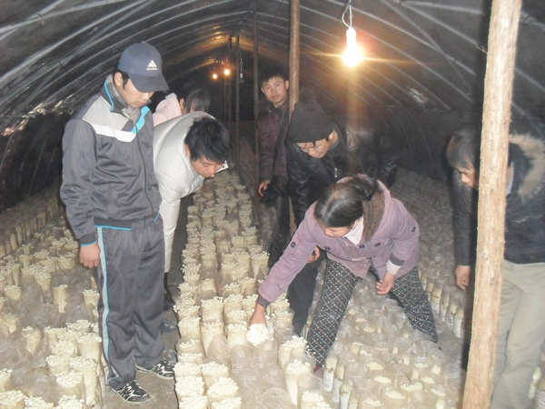 2011年元月2日部分学员在金针菇基地