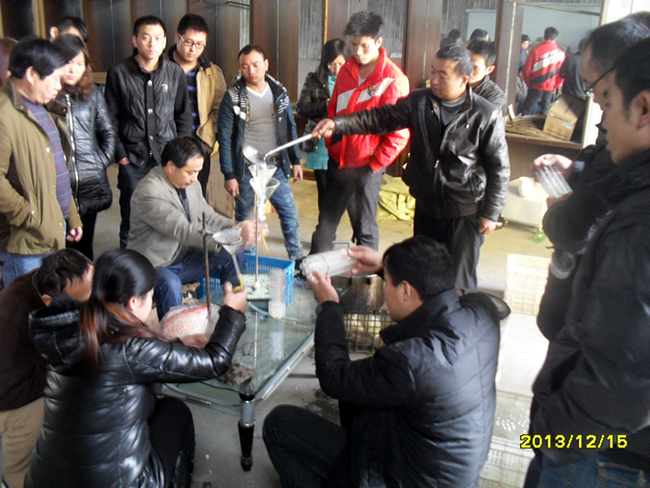 2013年12月中旬合肥立新食用菌培训学校学员在合肥立新菌种场培训学校教室听老师讲食用菌菌种制作技术——食用菌固体一、二、三级菌种以及液体菌种的制作方法及保存管理