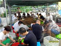 2014年8月3日合肥庐阳区食用菌协会学员在合肥立新菌种场培训基地实践食用菌菌种制作技术——食用菌二级原种及三级栽培种的制作