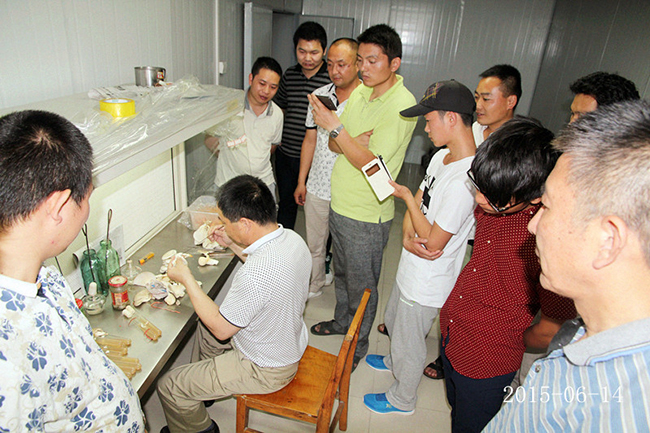 2015年6月14日合肥市庐阳区食用菌协会学员在合肥立新菌种场培训学校现场实习食用菌菌种制作技术—— 野生菌菌种提取及驯化技术，食用菌组织分离技术