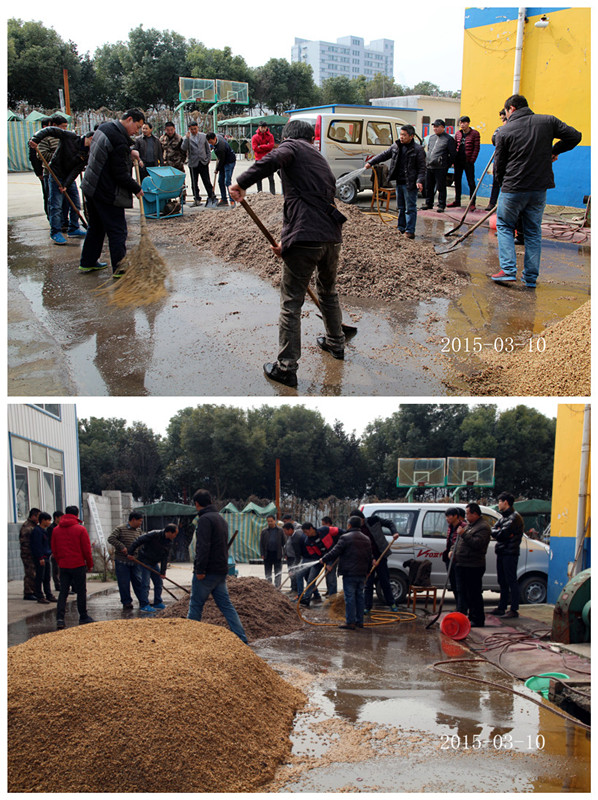2015年3月10日合肥庐阳区食用菌协会学员在合肥立新菌种场培训基地实践食用菌栽培技术——生产拌料