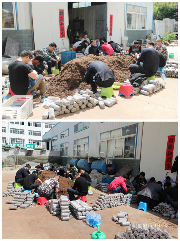 2015年4月23日合肥庐阳区食用菌协会学员在合肥立新菌种场培训学校现场实习食用菌菌种制作技术—— 制作二级原种和三级栽培种培养基