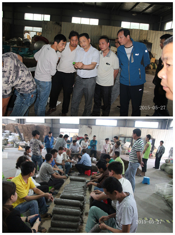 2015年5月27日合肥市庐阳区食用菌协会在合肥立新菌种场培训基地实践食用菌栽培技术——香菇生产制袋