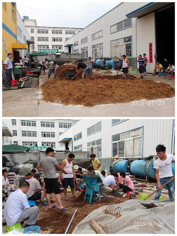 2015年7月25日合肥市庐阳区食用菌协会学员在合肥立新菌种场培训基地实践食用菌栽培技术——生产拌料及装袋
