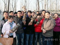 2015年元月11日合肥庐阳区食用菌协会在合肥立新菌种场培训学校香菇种植培训基地