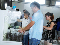 2015年7月19日合肥市庐阳区食用菌协会学员在合肥立新菌种场培训基地实践食用菌栽培技术——金针菇,杏鲍菇，茶树菇，白灵菇，海鲜菇，猪肚菇等生产接种