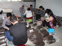 2015年5月4日合肥庐阳区食用菌协会学员在合肥立新菌种场培训基地实践食用菌栽培技术——生产开放式接种