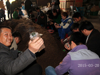 2015年3月20日合肥庐阳区食用菌协会学员在合肥立新菌种场培训学校现场实习食用菌菌种制作技术—— 制作二级原种和三级栽培种培养基