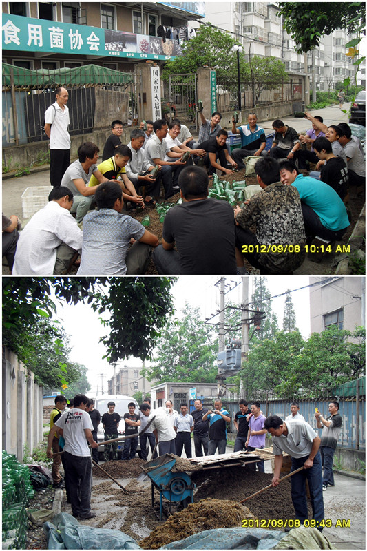 2012年9月上旬合肥立新菌种场培训学校学员在合肥立新菌种场培训学校现场实习香菇，木耳，灵芝，猴头等木质素菌类的二级原种培养基制作