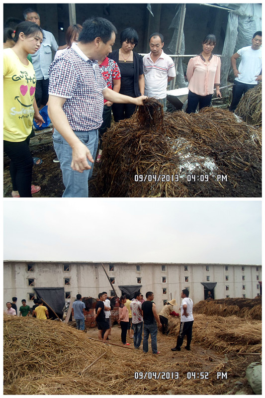 2013年9月上旬合肥立新食用菌培训学校学员在合肥立新菌种场培训学校蘑菇种植技术培训基地参观实践建堆翻堆