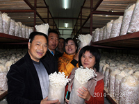 2014年10月28日合肥庐阳区食用菌协会学员在合肥立新菌种场培训学校金针菇工厂化种植培训基地