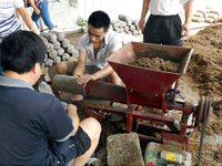 2012年6月上旬合肥市庐阳区食用菌协会学员在合肥立新食用菌生产基地现场实习食用菌栽培技术——食用菌生产装袋