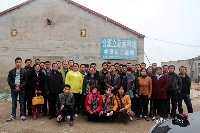 2014年11月23日合肥市庐阳区食用菌协会学员在合肥立新菌种场培训学校双孢蘑菇种植培训基地