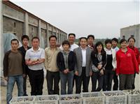 2011年5月下旬合肥市庐阳区食用菌...