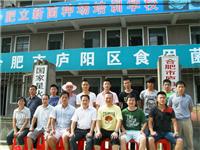 2011年8月上旬合肥市庐阳区食用菌...