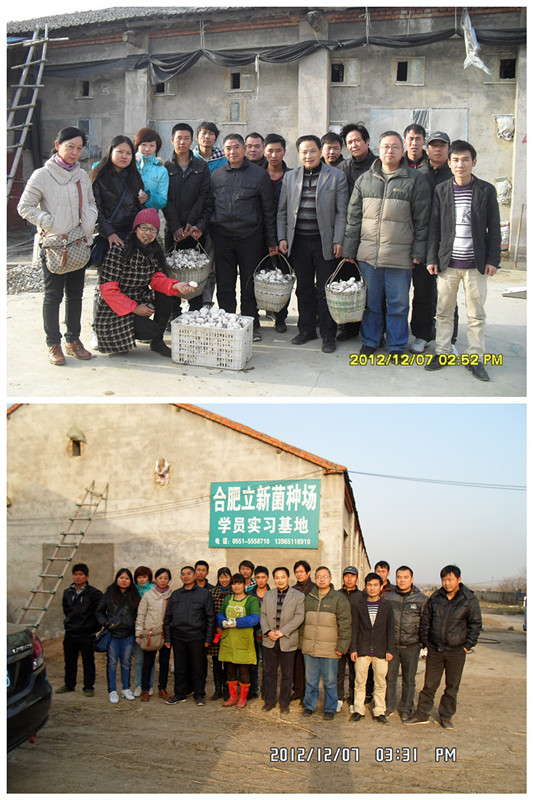 2012年12月上旬合肥市庐阳区食用菌协会学员在合肥立新食用菌培训学校蘑菇种植培训基地合影留念