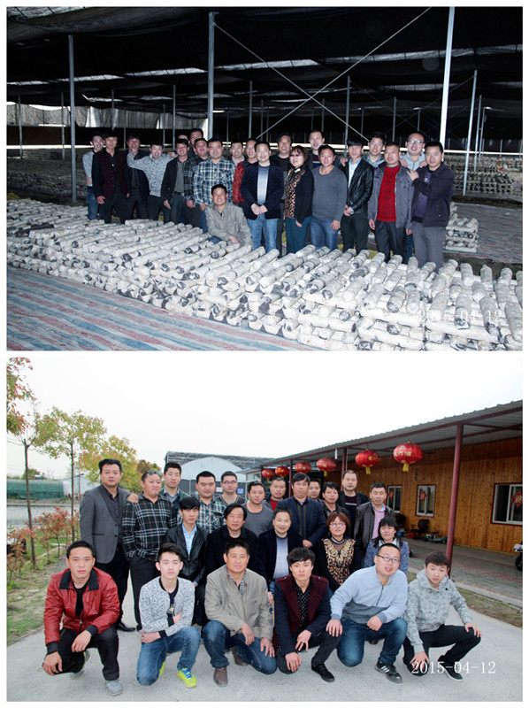 2015年4月12日合肥市庐阳区食用菌协会学员在合肥立新菌种场培训学校老学员的香菇种植培训基地参观学习