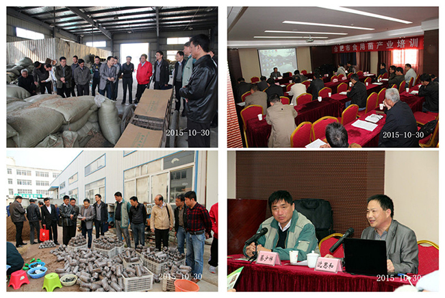 2015年10月30日合肥市庐阳区食用菌协会迎接合肥市农委及各区各县农委领导及食用菌行业企业带头人莅临我校参观指导,并邀请沈会长为各位进行食用菌培训