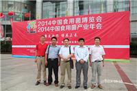 合肥市庐阳区食用菌协会参加2014年...
