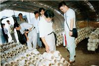 媒体在立新食用菌培训学校现场采访