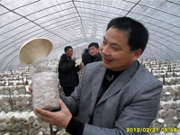 2012年2月下旬合肥庐阳区食用菌协...