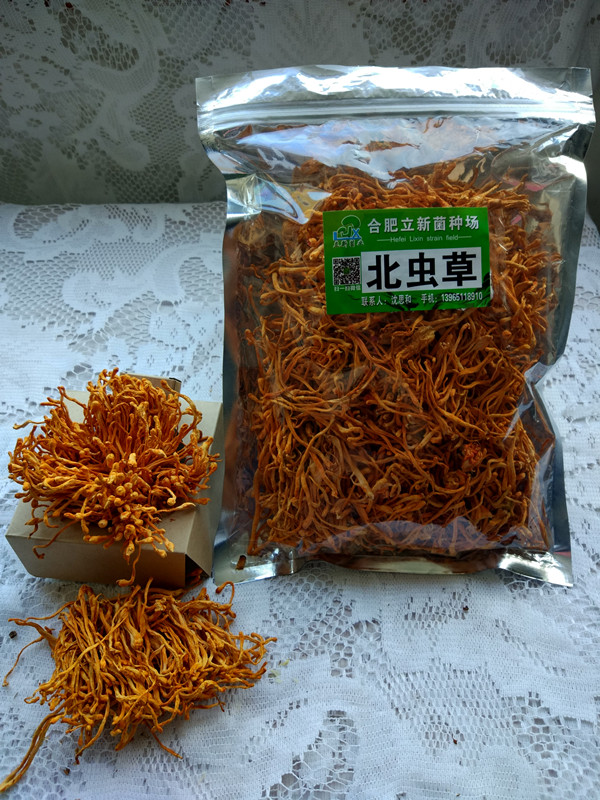 合肥立新食用菌培训基地——北虫草干品