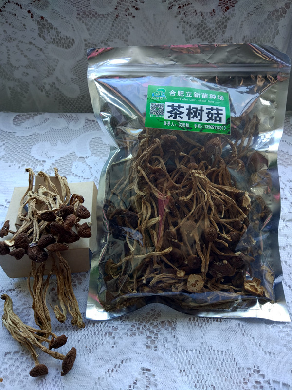 合肥立新食用菌培训基地——茶树菇干品