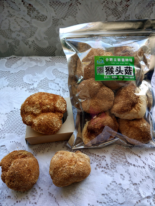 合肥立新食用菌培训基地——猴头菇干品