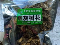 合肥立新食用菌培训基地——灰树花干品