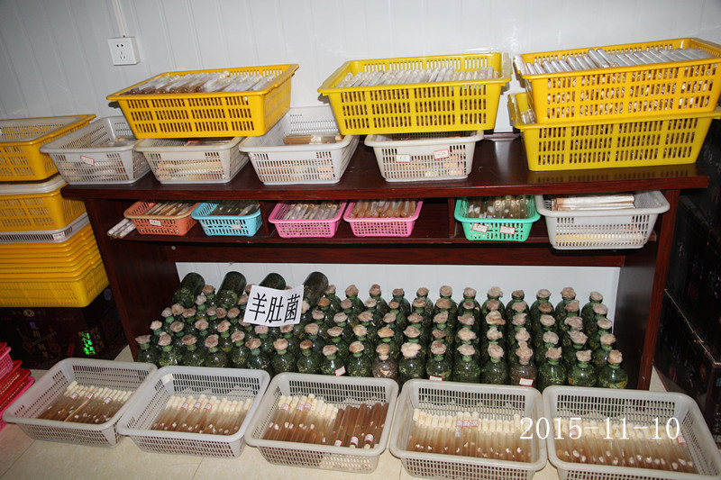 合肥立新食用菌培训基地菌种室一角
