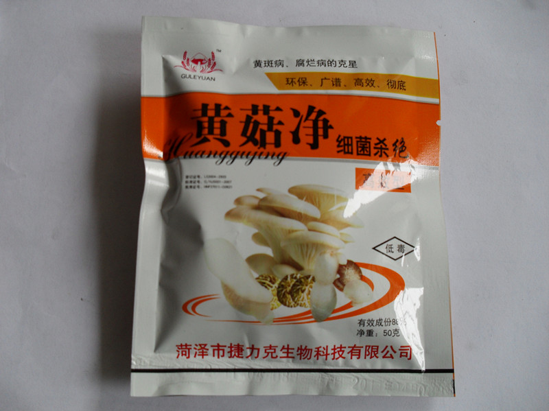 食用菌——黄菇净