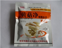 食用菌——黄菇净