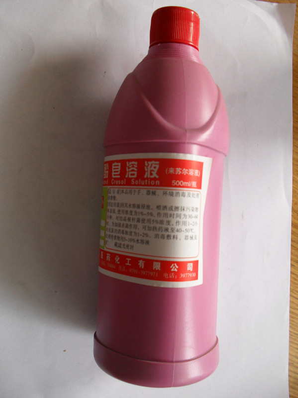 食用菌——来苏尔