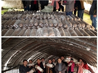 合肥市庐阳区食用菌协会学员在平菇种植培训基地