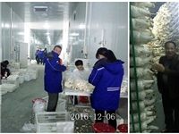合肥市庐阳区食用菌协会学员在合肥立新菌种场杏鲍菇工厂化种植培训基地