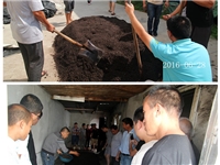 合肥市庐阳区食用菌协会学员正在基地实习草菇栽培种植技术