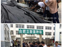 合肥市庐阳区食用菌协会学员听老师讲鸡腿菇、羊肚菌、松乳菇等栽培技术