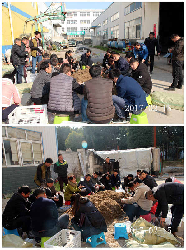 合肥立新食用菌培训基地学员实习菌种制作技术1