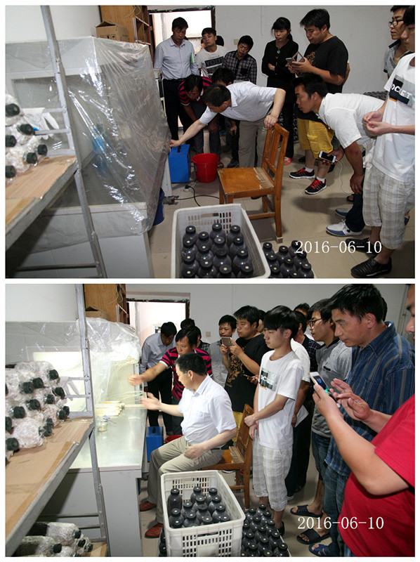 合肥立新食用菌培训基地学员实习食用菌菌种制作