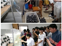 合肥市庐阳区食用菌协会学员实习食用菌菌种制作