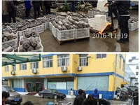 合肥市庐阳区食用菌协会学员实习食用菌生产出锅冷却